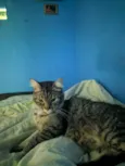 Ted
