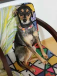 Frida