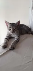 Billy 