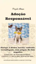 George