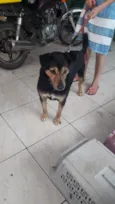 Bruce