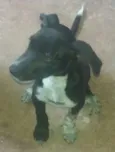 Adolf, Amora, Dakô, 