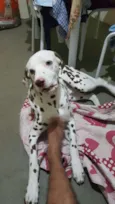 Safadão