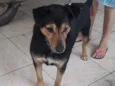 Bruce