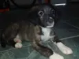 Nome indefinido 
