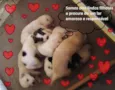Anjos