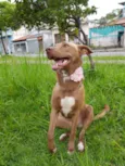 MEL