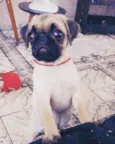 Charlotte (Charlo)