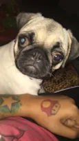 Charlotte (Charlo)