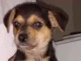Sem nome 
