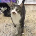 Tom