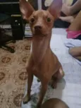 Billy