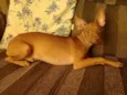 Billy