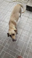 Mel