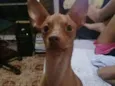 Billy