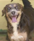Cauê Filhote