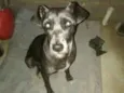 Bene