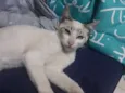 Billy