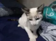 Billy