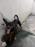 Lupita