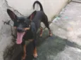 Lupita