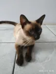Fiona