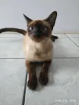 Fiona