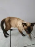 Fiona