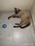 Fiona