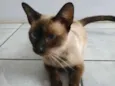 Fiona