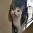 Rafaela