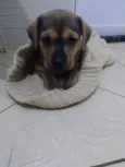 Não sei