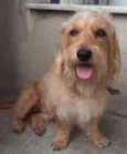 Thor.
