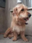 Thor.