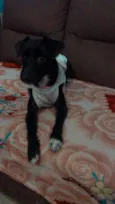 Sofhia