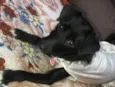Sofhia