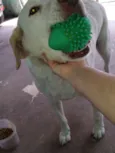 Marley