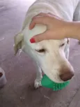 Marley