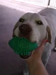 Marley