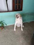 Marley