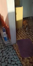 Luky