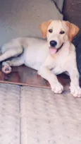 NALA E SIMON