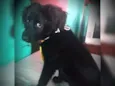 Tem que colocar