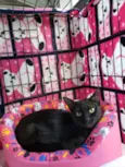 Matilda