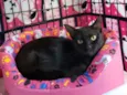 Matilda