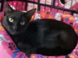 Matilda