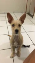 Mel