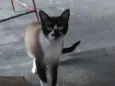 Billy