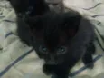 Billy
