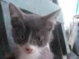 Billy